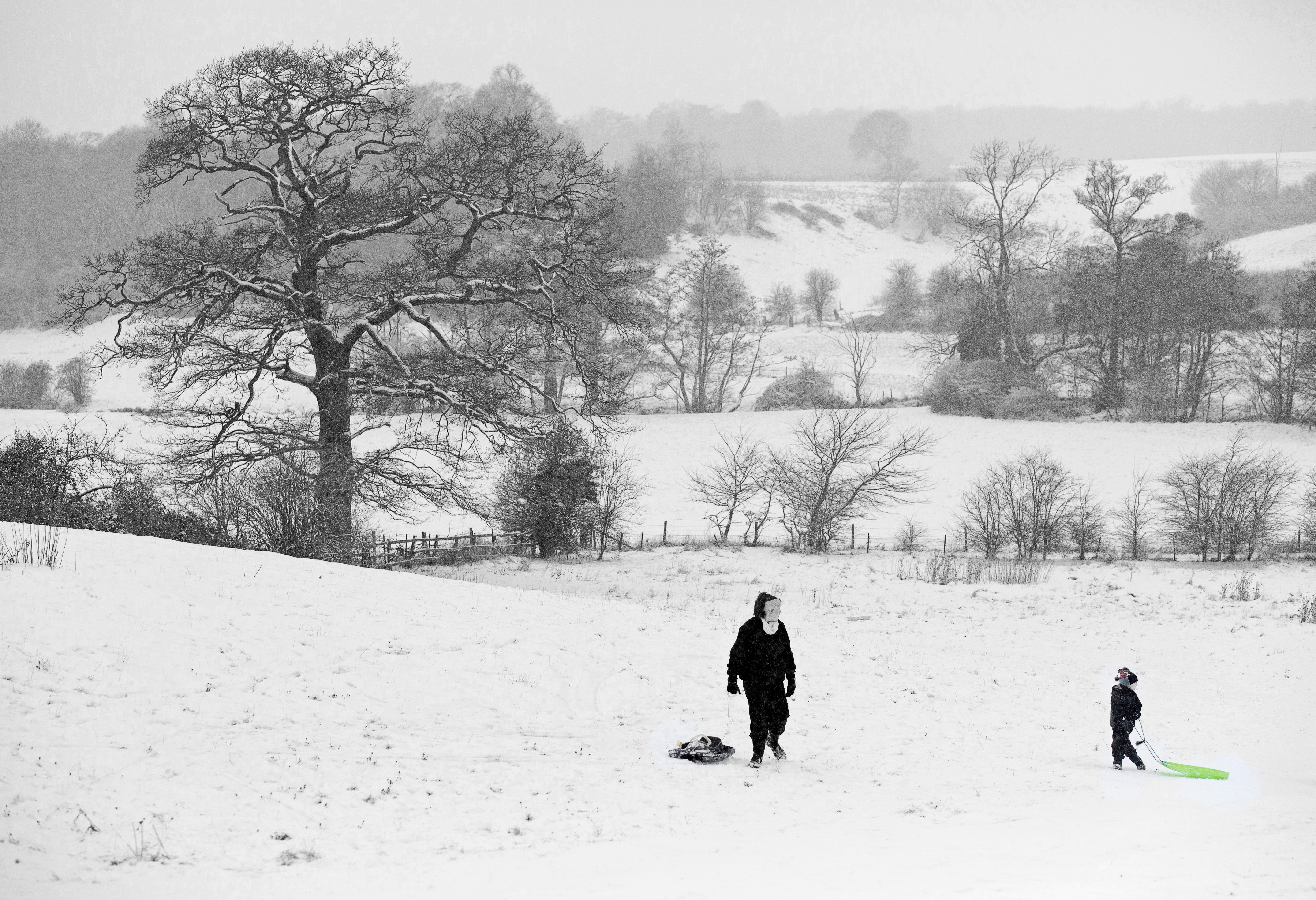 black and whilte of a snowy hillside with an adult and child tobogganing