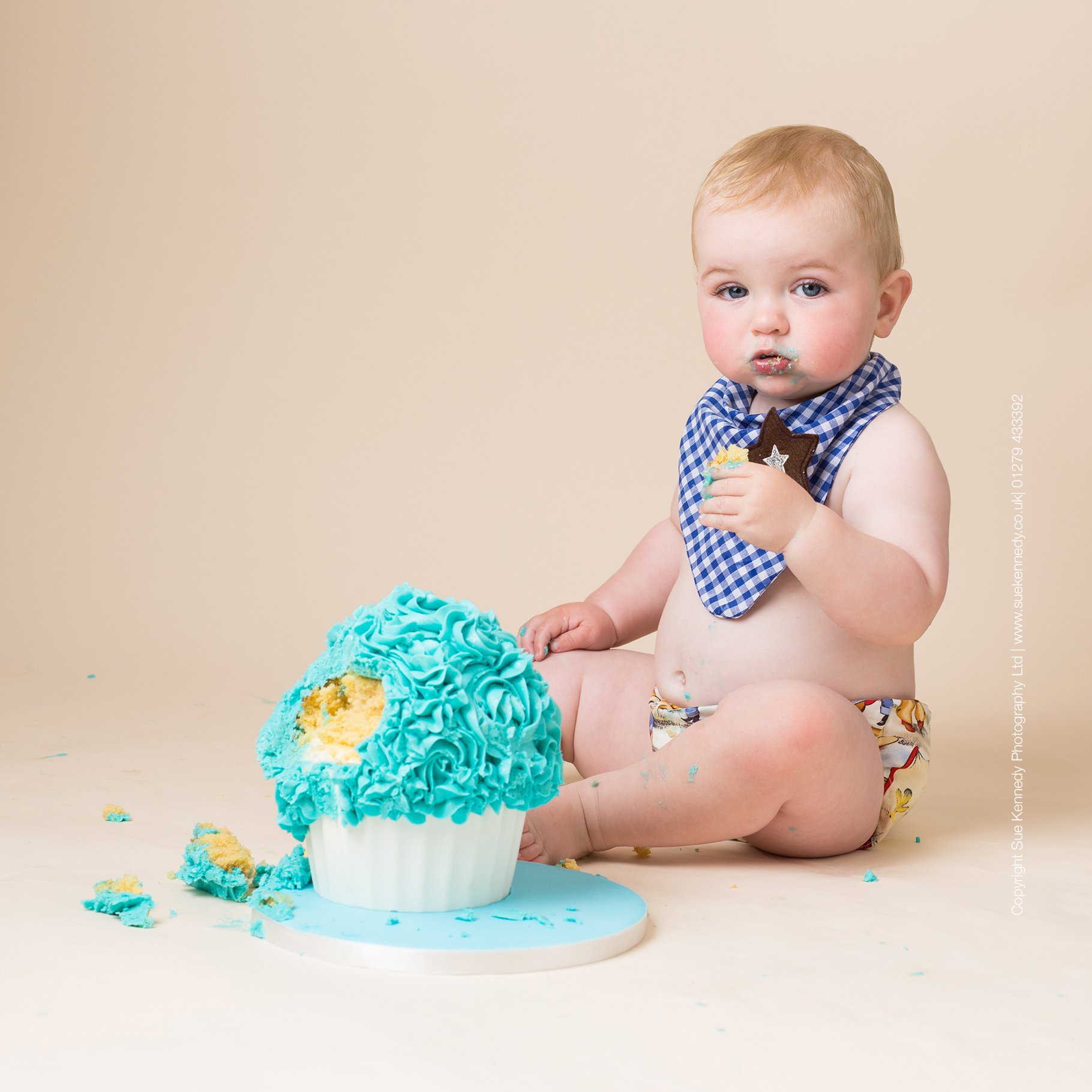 Graphic for cake smash photography with the text first birthday cake smash portrait experience