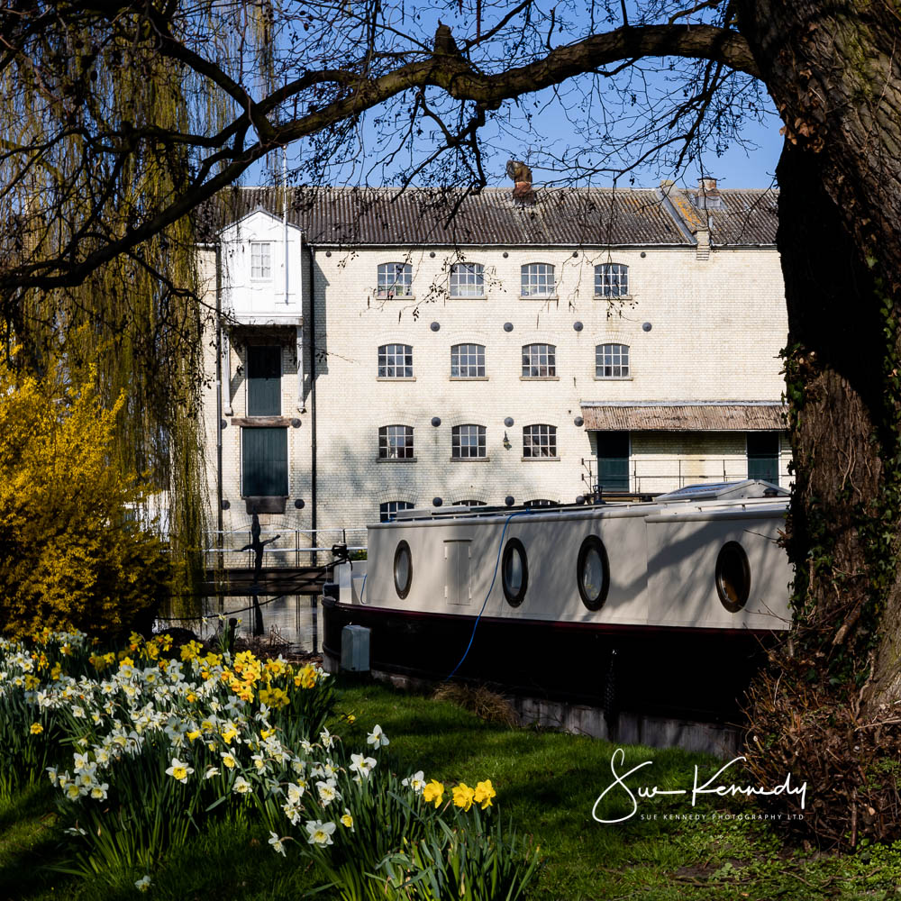 Spring time view of Parndon Mill from the road