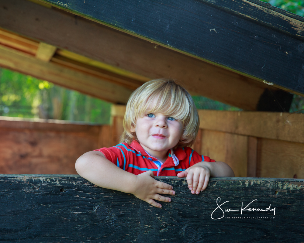 Little boy photographed as part of a family and toddler photoshoot at Sue Kennedy Photography. Creating childhood memories for his family.
