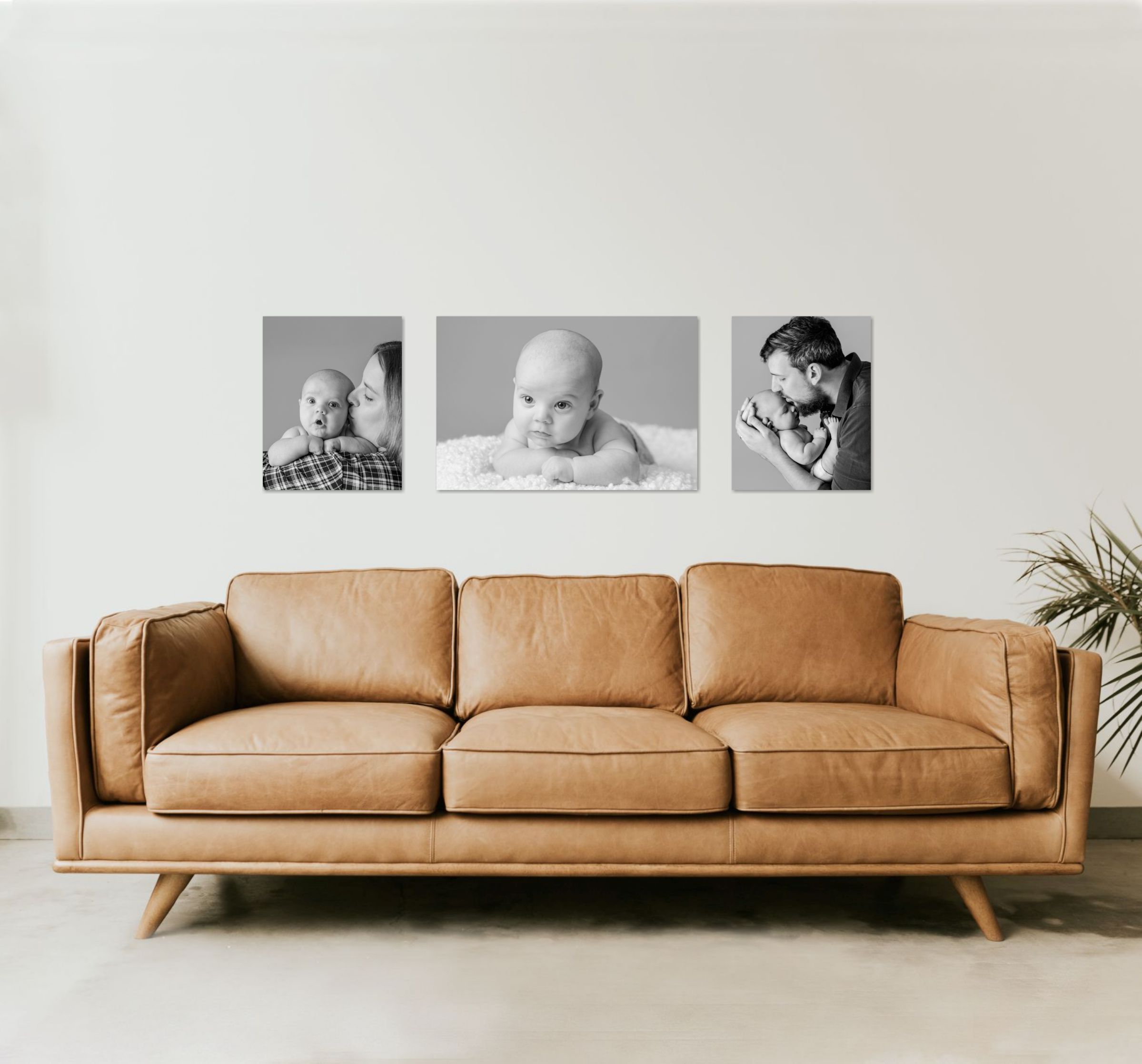 wall collection of portrait photographs above a three seater sofa