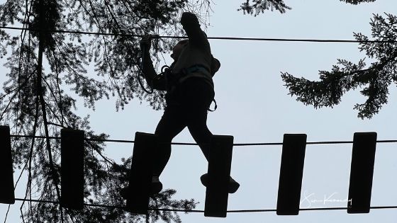 image for blog showing a shillouette of child on walkway high in the trees. Example of lifestyle photography