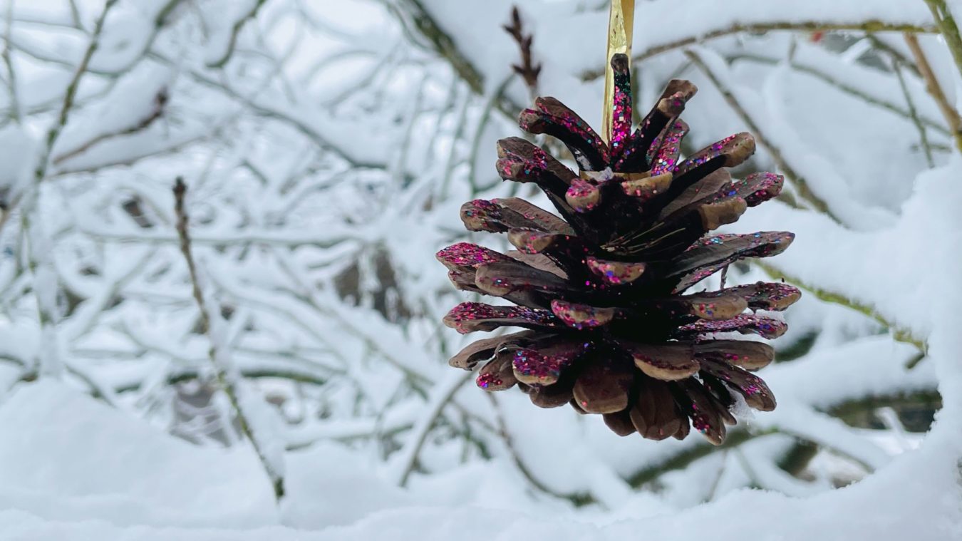 a glittery pinecone handing on the snowy branches of a tree.
